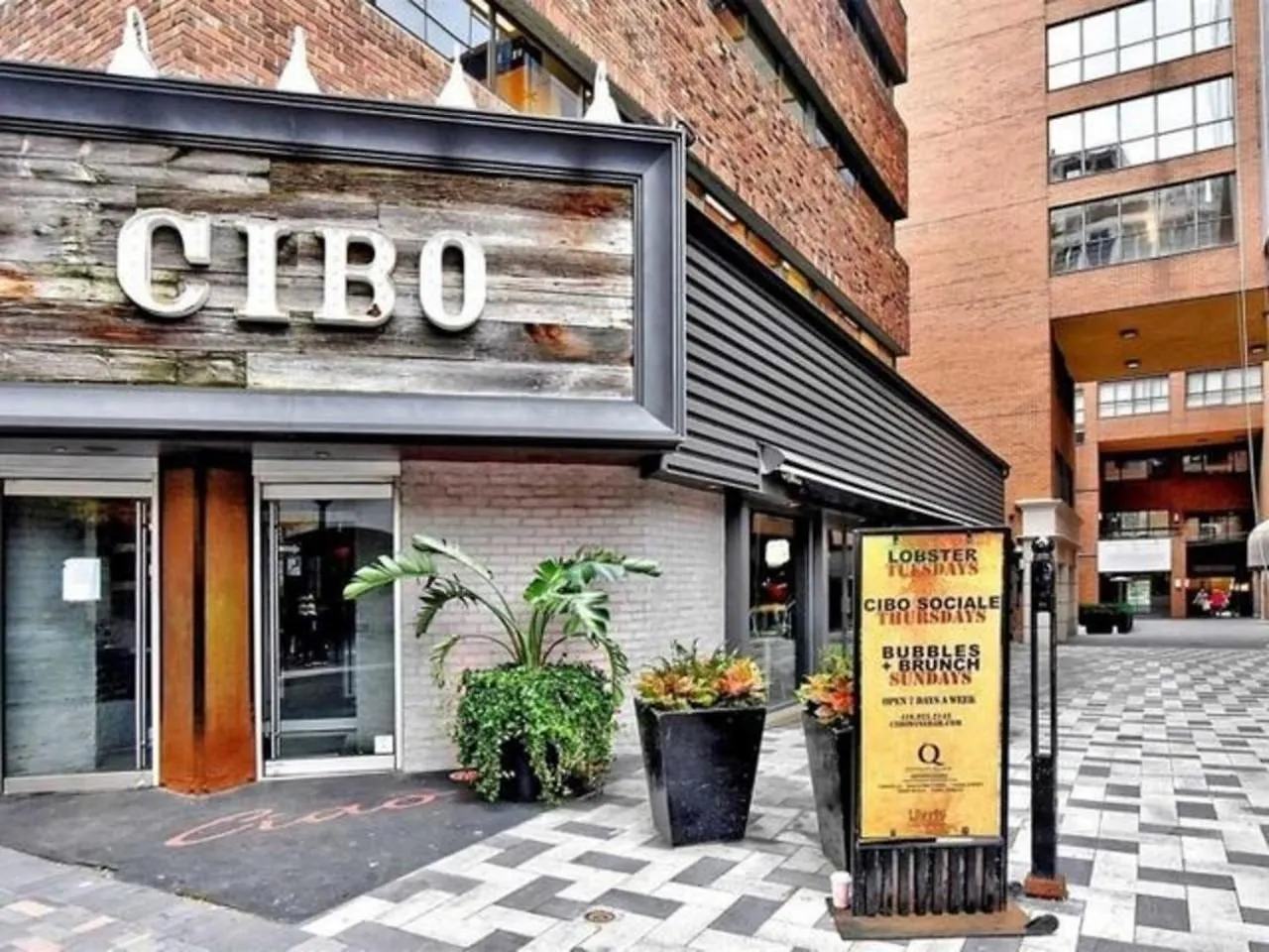Downtown Toronto Condo With Gym & Subway Access Apartment